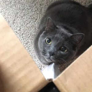 Meet your Posher, Grace